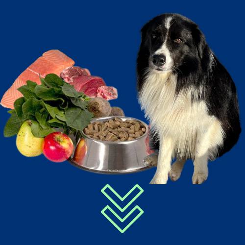 empathydog alimentazione | crocchette pressate a freddo | snack naturali per cani | alimentazione sana per cani | crocchette sane per cani