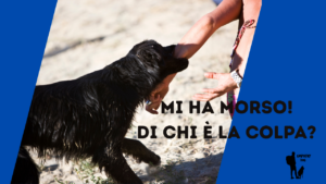 cane morde