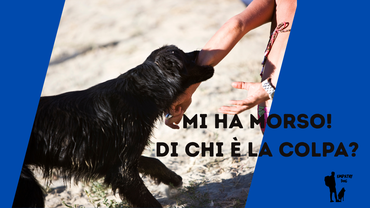 cane morde