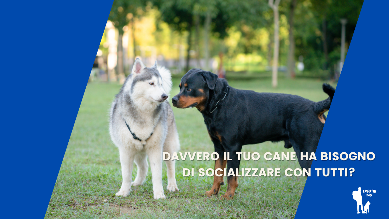 socializzare